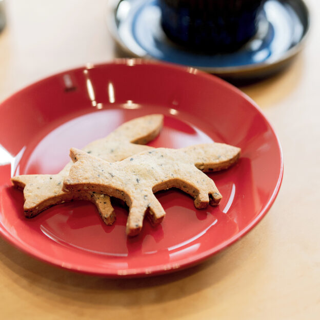 東京に出張していたスタッフからのお土産。⁣CAFE KITSUNEさんのサブレ。⁣⁣割れなくて良かった〜。⁣大事に持って帰ってきてくれて感謝です。⁣（なまら美味！バターの香りが鼻の奥で爆発します！）⁣⁣さて。⁣普段だと3月って…卒業、引っ越しなど⁣人が動く季節。⁣春休みどこかへ旅行しようかな！とか⁣春からはコレにチャレンジしよう！とか。⁣新しいこと、たくらむのも、楽しい季節。⁣⁣明日の土曜日は、家でのんびり⁣美味しいお菓子食べながら、春の計画⁣いろいろ妄想するのもいいかもしれませんね。⁣⁣もしも…もしも、です！⁣妄想の中に（そろそろ家を建てようかな）（手狭だからマンション買うか家建てるか迷うな〜）など、お住まいにまつわるものがありましたら…⁣⁣ぜひ！オンライン相談をご利用ください。⁣お家にいたまま、スマホがあれば簡単にご利用いただけます。⁣⁣️ちなみに ️⁣オンライン相談お申し込みの方、初回に限りAmazonギフト券3,000円をプレゼント中です。この企画、明日と明後日…つまり、今月いっぱいで終了となります！⁣⁣オンライン相談そのものは来月以降も継続して承るのですが、この企画は2月で終了！なのです。⁣⁣家づくりの素朴なギモン、土地のご相談など⁣「そういえば、ちょっと聞いてみたい」という方は⁣今がチャンス️じゃんじゃんご相談ください。⁣⁣なお、豊栄建設の施工エリアは道央圏です。オンライン相談は施工エリアのお客様に限ります。ご了承ください‍♀‍⁣⁣#豊栄建設 #注文住宅 #ハウスメーカー #家づくり #オンライン相談 #自由設計 #マイホーム #マイホーム計画 #マイホーム計画中 #マイホーム計画中の人と繋がりたい #新築 #新築一戸建て #新築住宅 #新築マイホーム #新築注文住宅 #デザイン住宅 #北海道 #札幌 #札幌新築 #kajfranck #arabiavintage #iittala #maisonkitsune #ronherman