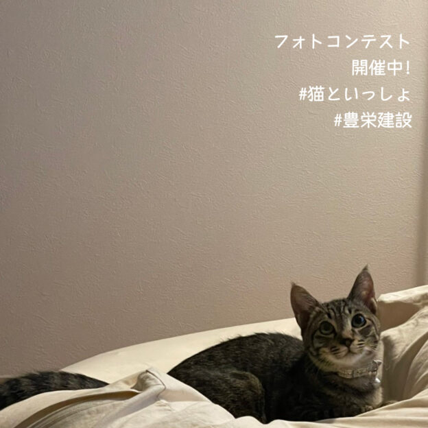 猫といっしょに暮らす⁣⁣仕事をしてると邪魔をする⁣遊んで欲しい時だけ寄ってくる⁣ご飯を変えると断食も辞さない⁣皮のソファはすぐに穴だらけ⁣⁣なのに、なのに⁣愛おしくてたまらない。⁣⁣家づくりで家族構成を伺う際に⁣「猫がいます」「犬と暮らす予定です」⁣という方はたくさんいらっしゃいます。⁣⁣室内ドアの下に⁣ペット用の小さなドアをつけたり⁣⁣お部屋の壁に⁣猫用のステップを兼ねた飾り棚をつけたり⁣⁣いろんな工夫を凝らした⁣猫といっしょに暮らす家づくりのご相談⁣何なりと承りますので！⁣ぜひぜひご相談くださいね！⁣⁣また、豊栄建設では現在⁣フォトコンテストを開催中です️⁣⁣豊栄建設ではテーマにそった写真を⁣投稿いただくことで応募が完了⁣⁣抽選で3名様に⁣Amazonギフト券5,000円分を⁣プレゼントします！⁣⁣応募要項など詳しくは @hoei999 プロフィールにあるホームページをご覧いただくか下記のサイトをご覧ください。⁣https://www.hoei999.co.jp/insta_photocon/⁣⁣期間は2月28日まで！⁣たくさんのご応募お待ちしております！⁣⁣#豊栄建設 #猫といっしょ⁣#フォトコンテスト #応募企画 #写真コンテスト⁣⁣#もっとできるを住まいづくりへ #注文住宅 #ハウスメーカー #家づくり #自由設計 #マイホーム #マイホーム計画 #マイホーム計画中の人と繋がりたい #新築 #新築一戸建て #新築住宅 #新築マイホーム #新築注文住宅 #デザイン住宅 #北海道 #札幌 #札幌新築 #苫小牧